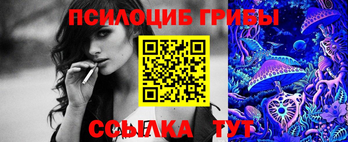 Псилоцибиновые грибы Psilocybe Дюртюли